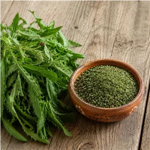سبزی معطر کوهی فانوسک ۱۰۰گرم