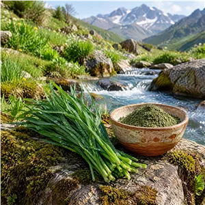 تره وحشی هشترود «ما۳تا» ۲۵۰گرم