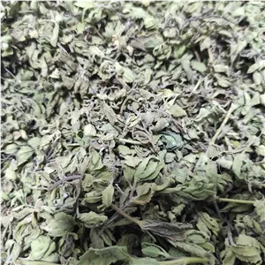 سبزی فرنچ مشک رودباری