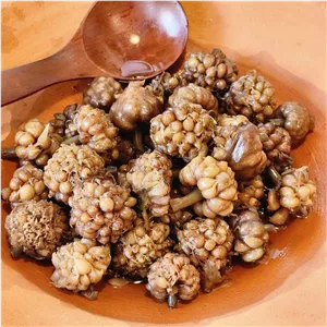 پودر گل سیر شمالی «سیر مرواریدی»