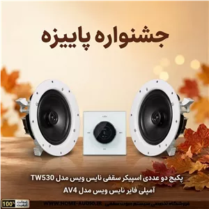 پکیج 2 و 4 عددی اسپیکر سقفی نایس ویس مدل TW530 به همراه آمپلی فایر نایس ویس مدل AV4