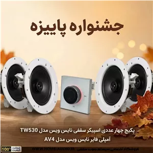 پکیج 2 و 4 عددی اسپیکر سقفی نایس ویس مدل TW530 به همراه آمپلی فایر نایس ویس مدل AV4