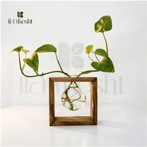 گلدان تراریومی چوبی مدل حبابی