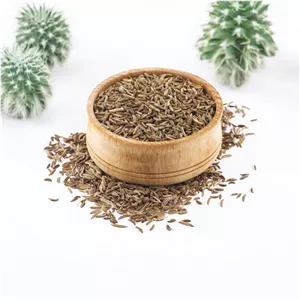 رازیانه (بهبود درد قاعدگی) 