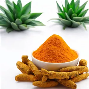 زردچوبه (بهبود کبد چرب و ضدالتهاب) 