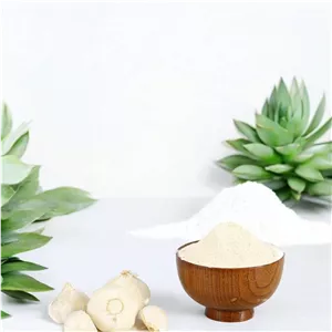 پودر سیر(رفع لختگی خون)