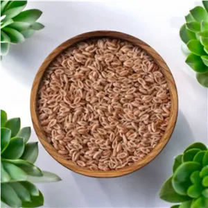اسفرزه (سلامت قلب و کاهش کلسترول)