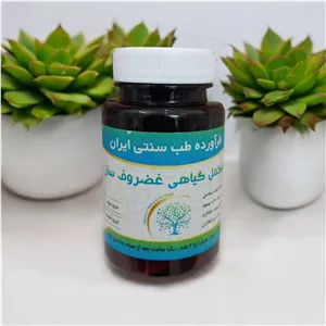غضروف ساز (تسکین درد و ترمیم مفاصل) 