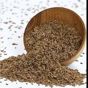 زیره سیاه اعلاء ۱