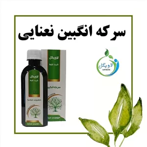 سرکه انگبین نعنایی خیراندیش