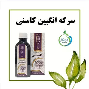 سرکه انگبین کاسنی دکتر خیراندیش (کاهش غلظت خون و چربی خون)