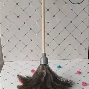 گردگیر دسته بلند