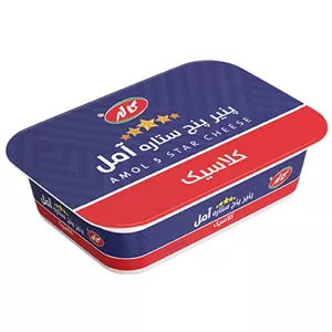 پنیر خیکی 
