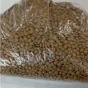 عدس ( مبنای خرید بر اساس 1 کیلو می باشد )