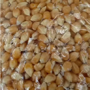 ذرت خشک ( مبنای خرید بر اساس 1 کیلو می باشد )