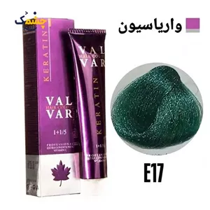 رنگ مو وال وار واریاسیون سبز سری واریاسیون شماره E17 حجم 120 میلی لیتر