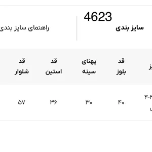 ست بلوز شلوار Blury لیلی دن کد 4623