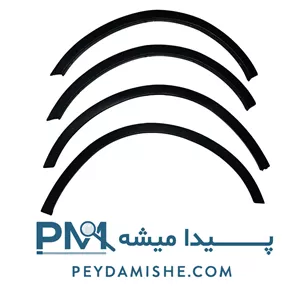 زه محافظ دور گلگیر تیبا 2