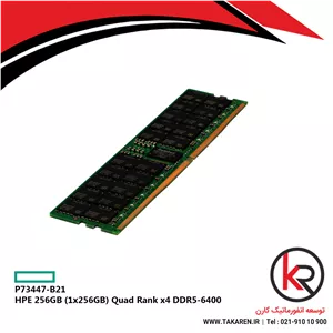 رم سرور اچ پی ای HPE 256GB (1x256GB) Quad Rank x4 DDR5-6400  | P73447-B21