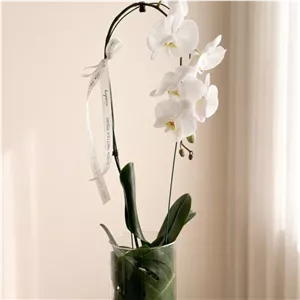 گلدان شیشه ای ارکیده سفید کد 3082 – بلورا | گل فروشی دل