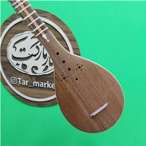 سه تار حسنی  الگو هاشمی