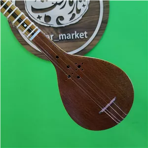 سه تار مسعود الگو هاشمی متوسط