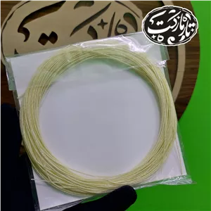 پرده تار مجید ( ویژه استاد )