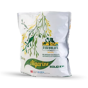 کود جلبک دریایی آلگارین سالید فرمولایف