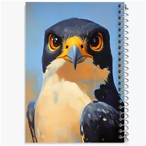 دفتر مشق 50 برگ خندالو طرح شاهین