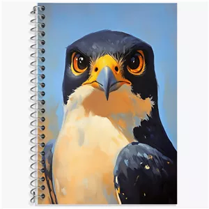 دفتر زبان سه خط 50 برگ خندالو طرح شاهین