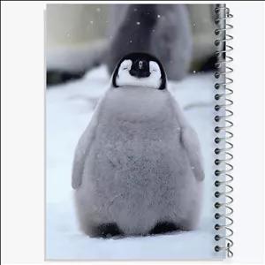 دفتر نقاشی 100 برگ خندالو طرح پنگوئن