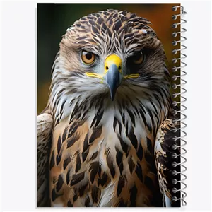 دفتر نقاشی 50 برگ خندالو طرح شاهین