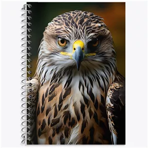 دفتر لغت 50 برگ خندالو طرح شاهین