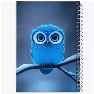 دفتر نقاشی 50 برگ خندالو طرح جغد آبی