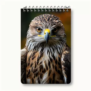 دفتر یادداشت خندالو طرح شاهین