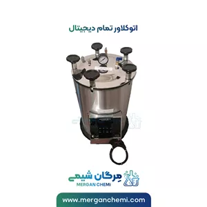 اتوکلاو 25 لیتری تمام دیجیتال استیل
