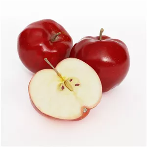 دانلود آبجکت تری‌دی‌مکس میوه مدل Fruit-21