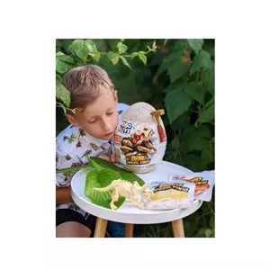 تخم‌مرغ دایناسور سورپرایزی روبو الایو مدل Robo Alive Dino Fossil  کد 71153