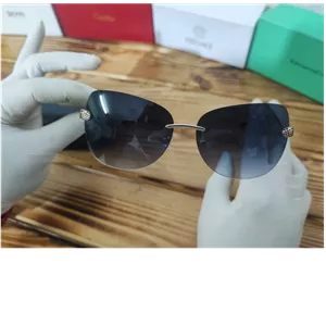 عینک آفتابی Roberto Cavalli