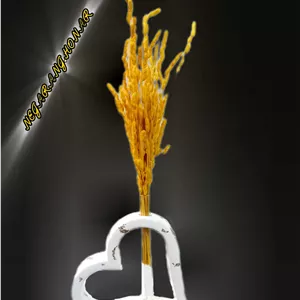 گل خشک تورک زرد
