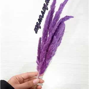 گل خشک پرقی بنفش