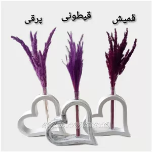 گل خشک قیطونی
