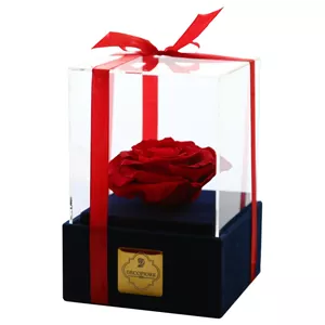 جعبه گل ماندگار دکوفیوره مدل رز جاودان کن مدل 406986