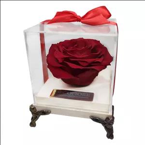 گل رز جاودان دکوفیوره طرح گل سرخ کن مدل 406997