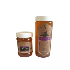 عسل زول (۵۰۰ گرم) مجموعه حکیم خیراندیش