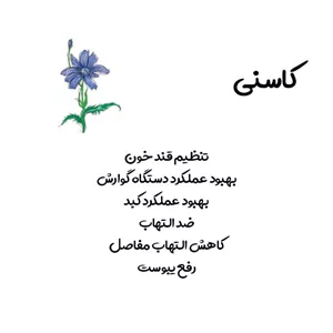 دمنوش خار مریم و شاتره و کاسنی نیوشا