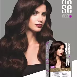رنگ مو ASSE شماره 8.66