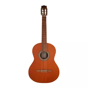 گیتار پارسی مدل P40