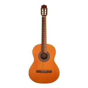 گیتار پارسی مدل M5