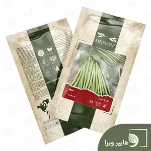 بذر لوبیا سبز وانیا سید